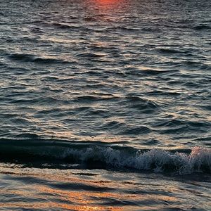 Meet your Posher, Elin